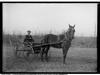 <span class='photoCredit'>Photo by <a href='https://commons.wikimedia.org/wiki/File:Man_driving_a_horse-drawn_carriage_(I0052842).tif' target='_blank'>Public Domain</a></span>