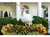 <span class='photoCredit'>Photo by <a href='https://commons.wikimedia.org/wiki/File:The_2019_National_Thanksgiving_Turkey_Presentation_(49129113738).jpg' target='_blank'>The White House</a></span>