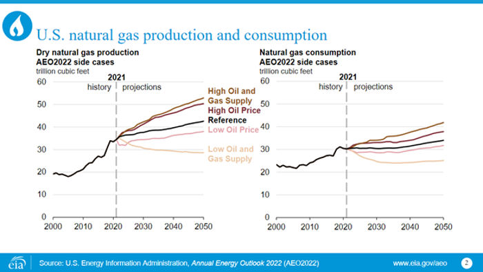 U.S. renewable electricity generation, including end use AEO2022 Reference case