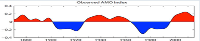 Observed AMO Index
